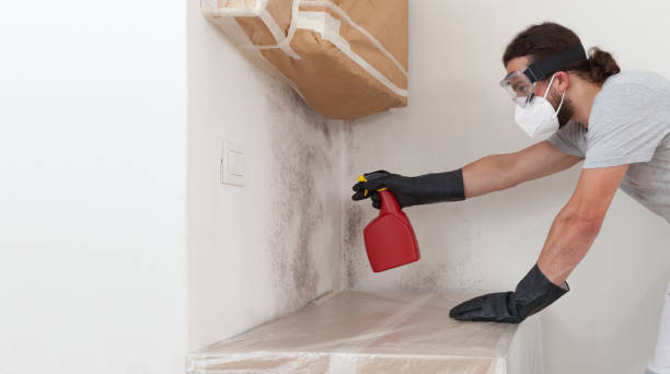 Professional Bathroom Mold Removal technician working in Partlow, VA