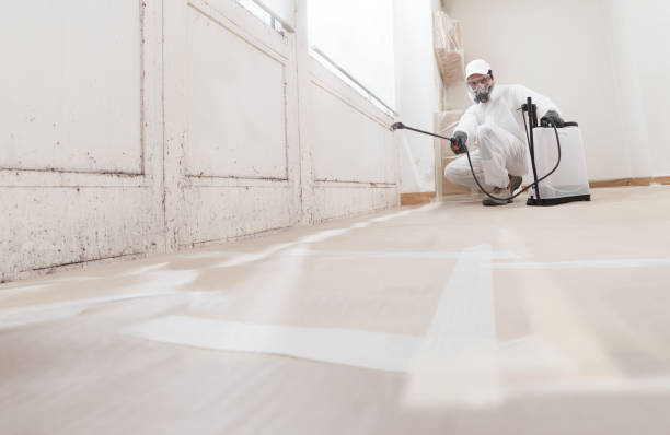 24/7 Emergency Bathroom Mold Removal experts in Partlow, VA