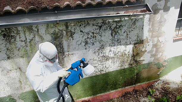 Top rated local Bathroom Mold Removal specialists in Partlow, VA